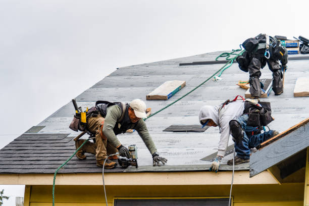 Professional Roofing technician working in Hollandale, WI